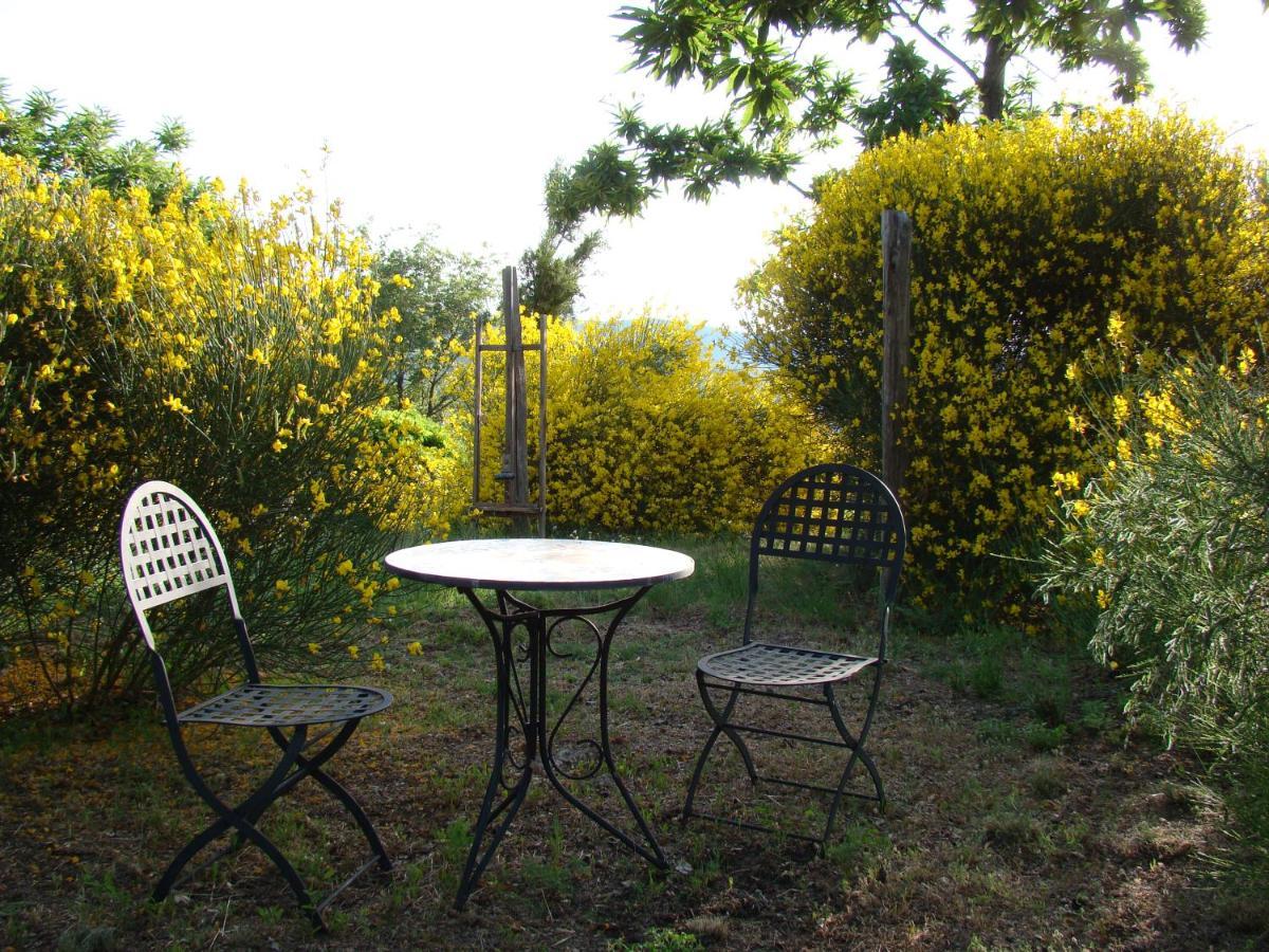 Borgo Tepolini Country House Castel del Piano  Extérieur photo