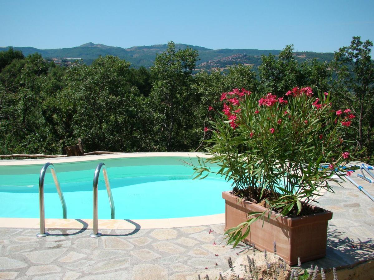 Borgo Tepolini Country House Castel del Piano  Extérieur photo